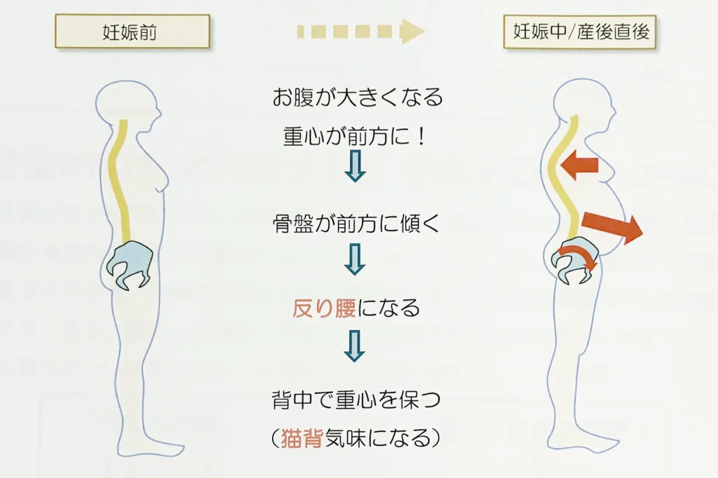 マタニティ整体